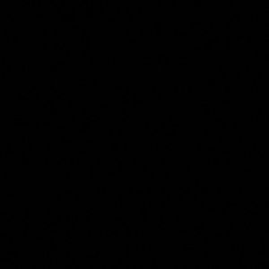 Meet your Posher, Julio